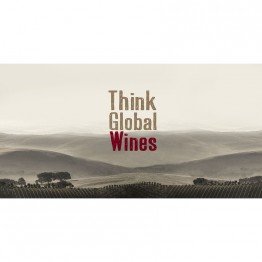 Think Global, LLC