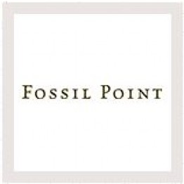 Center of Effort / Fossil Point