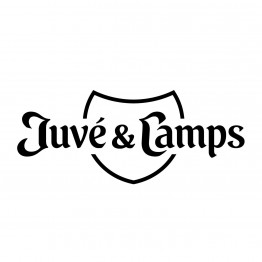 Vintus/ Juve & Camps